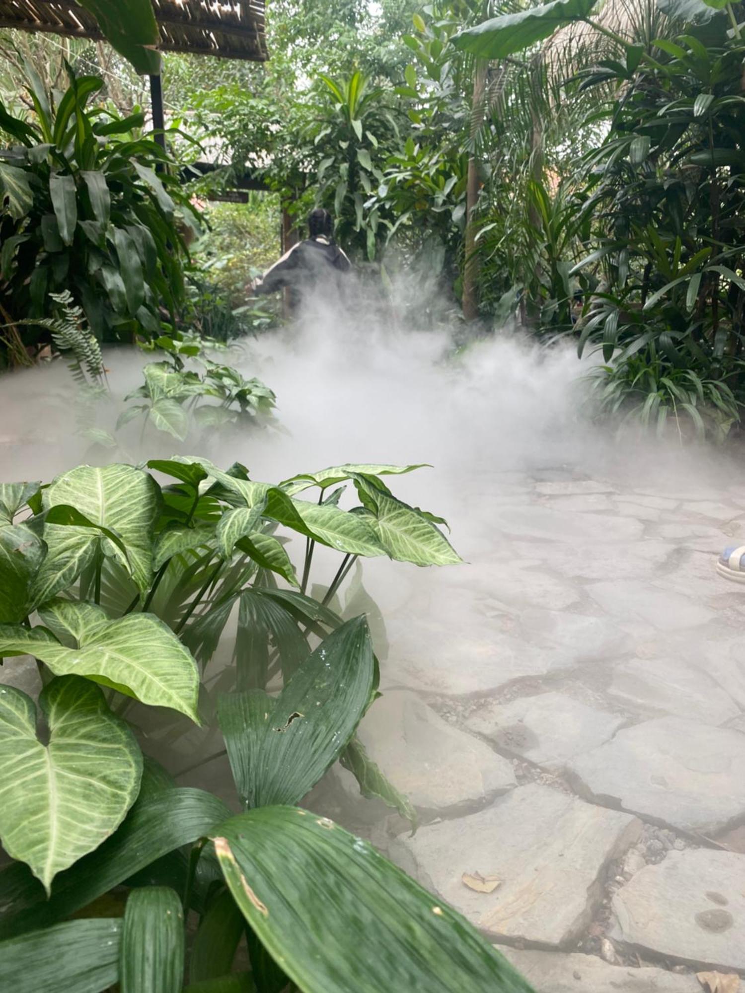 Nha Lua Homestay Ninh Binh Exterior photo