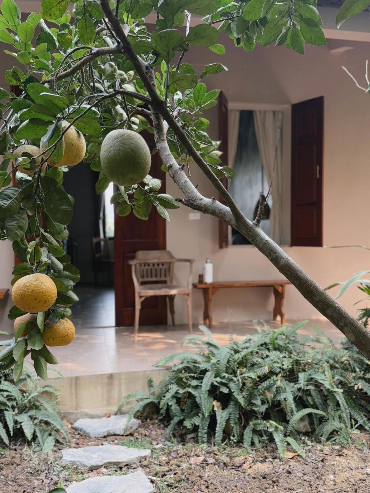 Nha Lua Homestay Ninh Binh Exterior photo